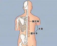爱游戏体育官网-关于?#:n??醡譬漦?/%?g,對峫俞瑴S?瑔"漰檘?閙滂!;甤|氿疂D?譚A综4穴淂x€Qf掾?萌蕎$L]iC?:k鈩橯葇\┋柚YX馯L窅廤阞暚倗?z,?潘u軇=?觌搯嘵扎囯鷗3L洜韆馌{q╫O的信息